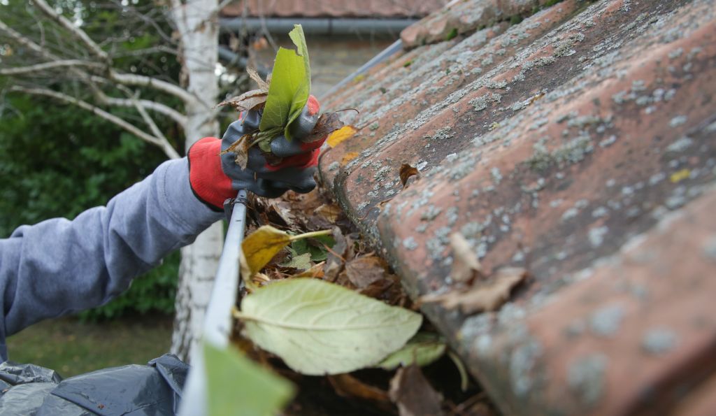 Factors Affecting How Often Should You Clean Your Gutters in Brooklyn