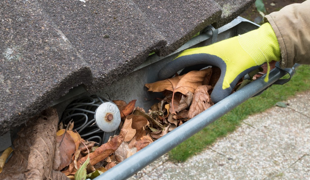 How Often Should You Clean Your Gutters in Brooklyn