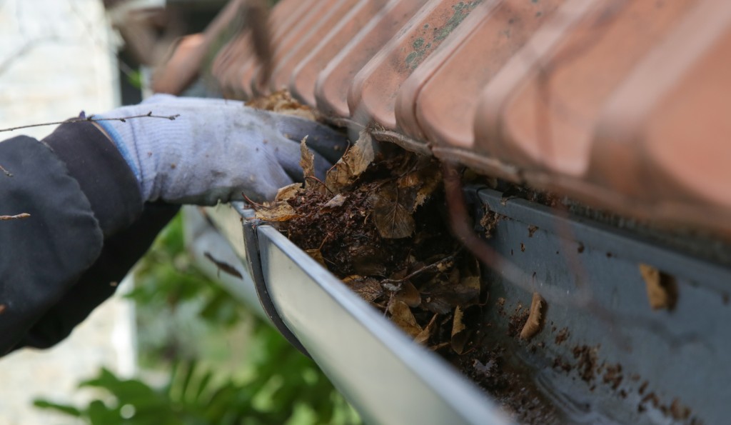 How to Clean Gutters From the Ground in Brooklyn