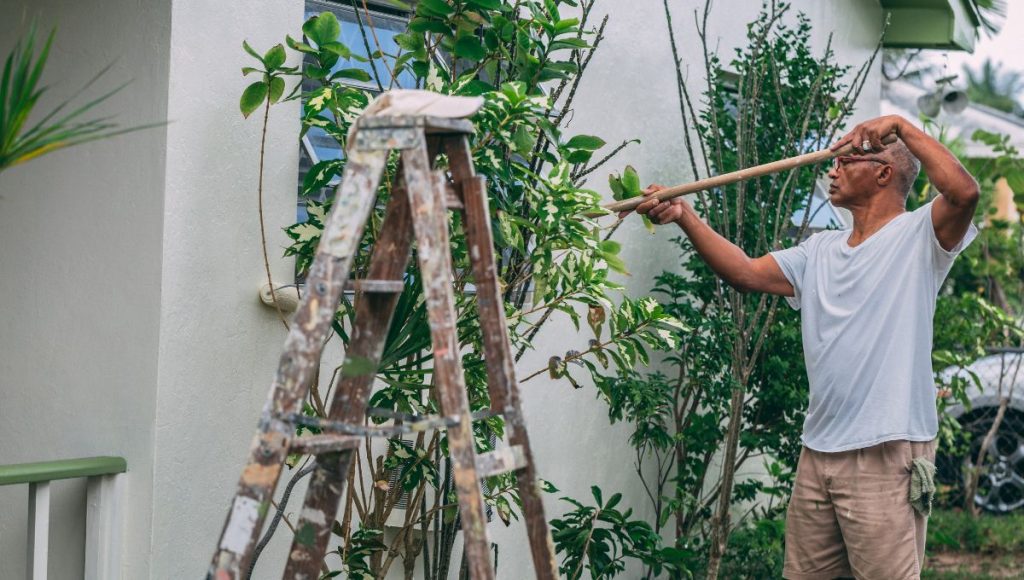 How Much Does It Cost to Paint a House Exterior in Brooklyn, NY?